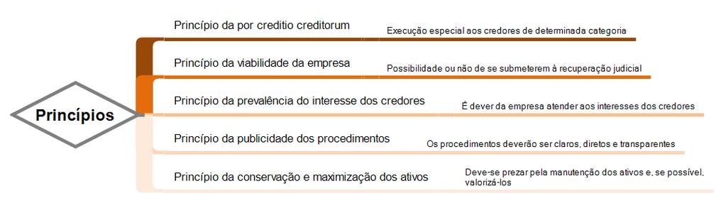 4. Princípios do Direito Falimentar e Recuperacional Princípio da por creditio creditorum.