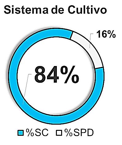 Resultados Parciais (Safra