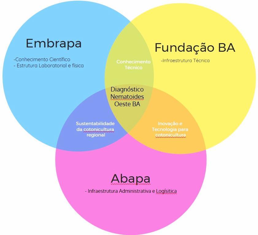 LEVANTAMENTO DE NEMATOIDES OESTE BAHIA PROJETO: Diagnóstico de Fitonematoides em algodoeiro no oeste da Bahia Equipe - Interinstitucional e Multidisciplinar: Equipe: Fabiano J. Perina; Carina M.