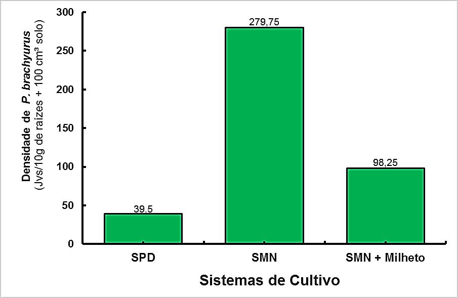 CONTROLE CULTURAL: Rotação de Culturas Monocultivo de algodoeiro vs SPD: