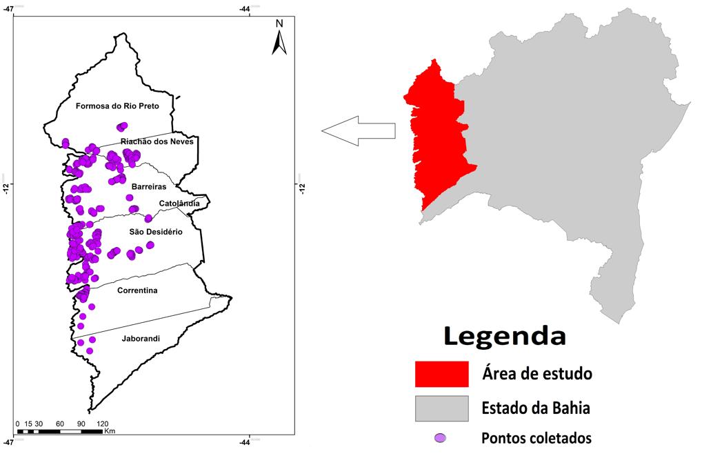 RESULTADOS PARCIAIS (Primeiro ano, safra 2016/17) Resultados Parciais (Safra 2016/17) Área