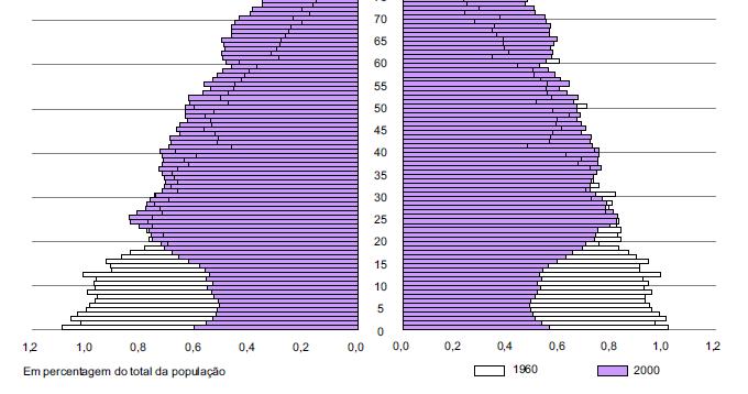 Pirâmide etária, Portugal 1960-2000 Estreitamento da base da pirâmide etária e o alargamento do topo Aumento da esperança média de vida Fonte: