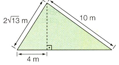 desse triângulo. x + y = 15 2x 3y = 10 17) Calcule a área do triângulo ao lado 18) Luisa é mais velha do que Caio um ano.