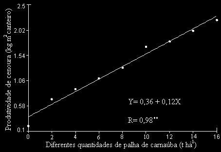 Figura 3: Comprimento (a) e diâmetro máximo (b) de raízes de cenoura sob diferentes quantidades de palha de carnaúba.