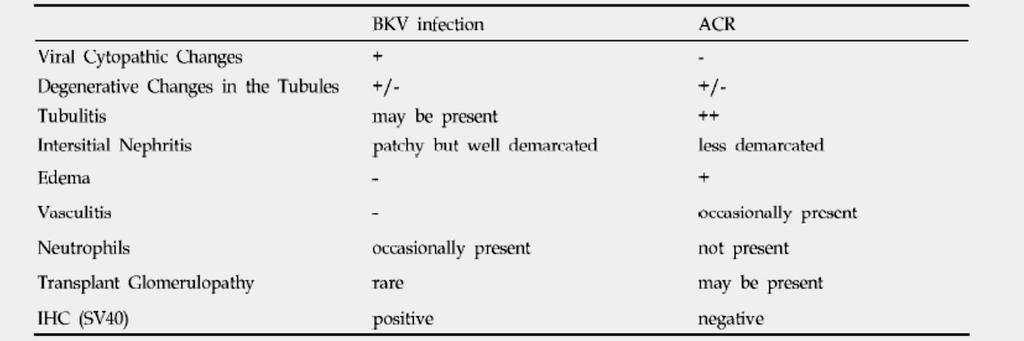 BKV X Rejeição Sintomas da reativação