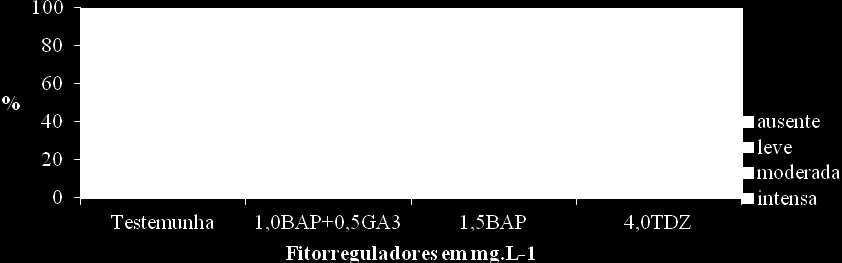 A contaminação e a oxidação estão presentes nesta etapa da calogênese in vitro, devendo ser minimizadas pelo ajuste no método de assepsia e pelo teste de outros antioxidantes.