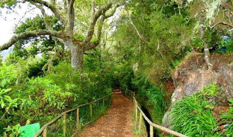 Parque Nacional Tipologias de Áreas Protegidas Parque