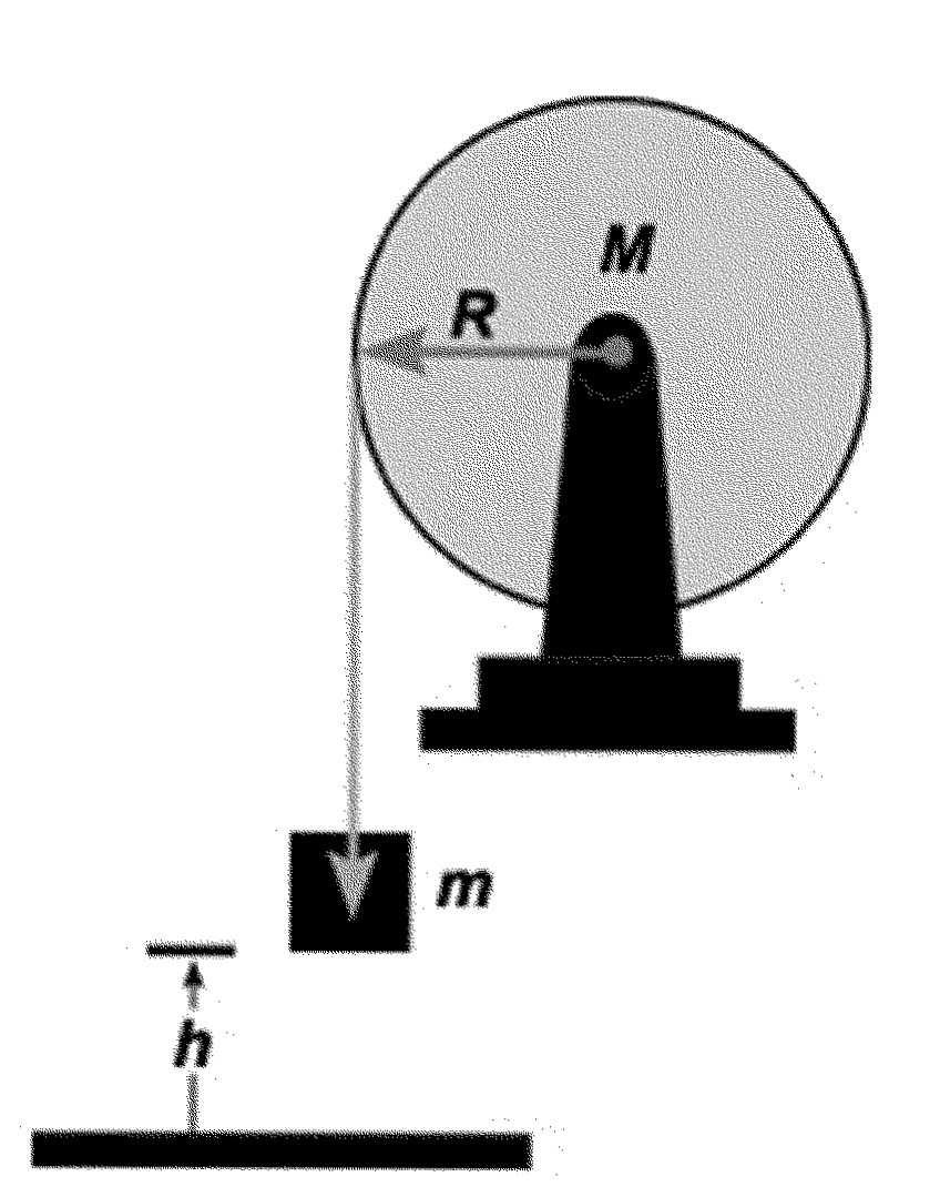 Figure 9: Com a rotação do cilindro, a corda desenrola e a massa m cai no solo da altura h.