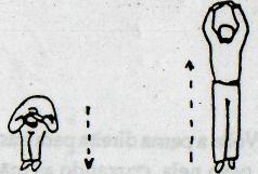 1) Pulsar longitudinal Posição initial.