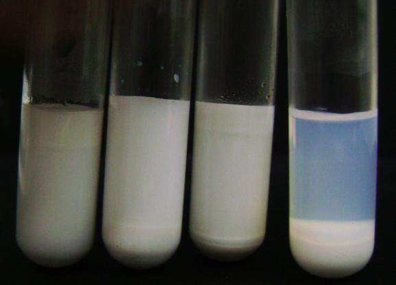 73 sidade igual a 0,945 g.cm -3 para o Miglyol 812, 0,773 g.cm -3 para o n- hexadecano e 0,975 g.cm -3 para o óleo de castanha do Pará, todas a 20 C (RÜBE et al., 2005; OUTCALT et al.