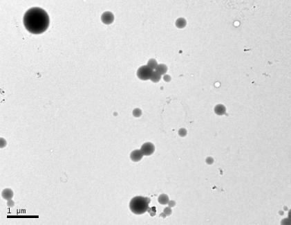 54 sença de nucleações secundárias e mecanismos de degradação. Para tanto, análises em microscopia eletrônica (MET) foram realizadas.