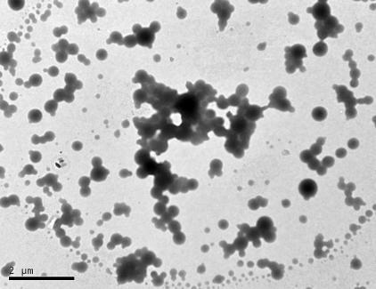 10 Micrografias obtidas por MET do látex S1 sem tratamento de acetato de uranila e sem recobrimento com filme de carbono. Figura 4.