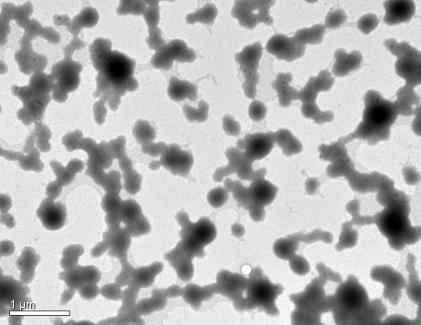 nanopartículas (nanocápsulas) da