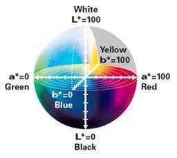2.2.4 Modelo de Cores CIE L*a*b Leão [6] cita que o modelo de cores CIE L*a*b foi criado pela CIE (Commission Internacional de l éclairage) para aumentar a uniformidade das cores percebidas pelo
