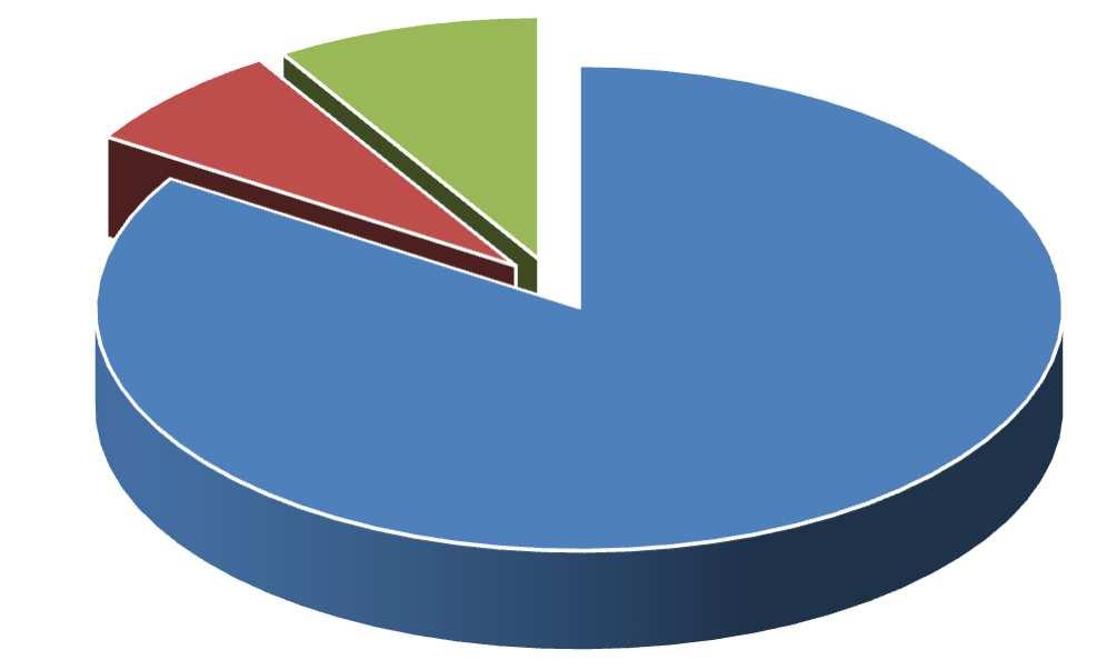 Género 17,48% 82,52% Masculino Feminino No que se refere ao grupo etário, 83,95% tem menos de 20 anos, seguindo-se os estudantes com mais