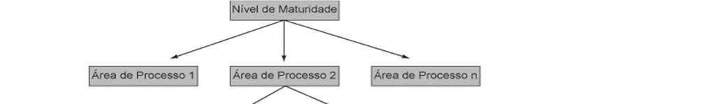 SW-CMM: Nível 5 A organização está engajada na melhoria contínua de seus processos, possuindo meios para identificar fraquezas e fortalecer o processo de forma pró-ativa, prevenindo defeitos.