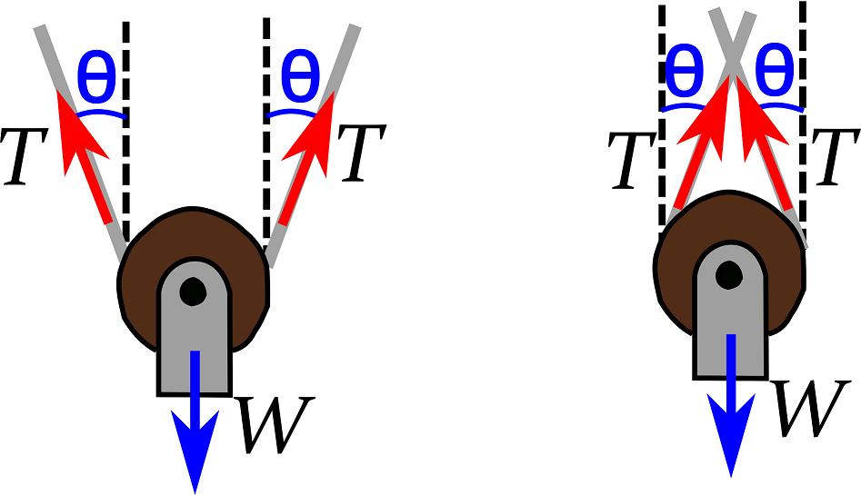 (d) F = T + T W + T = 0 3T = W T = W 3 (e) F = T + T W + T = 0 3T = W T = W 3 (f) F = T + T W + T + T = 0 4T = W T = W 4 b) Utilizando como exemplo a configuração (b), a figura a seguir ilustra os
