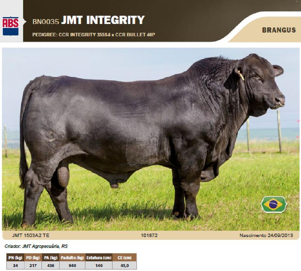 JMT a genética melhoradora do rebanho brasileiro A Associação Brasileira de Brangus encomendou uma pesquisa, efetuada pela Assessoria Agropecuária FFV e DR, que posiciona a JMT Agropecuária entre as