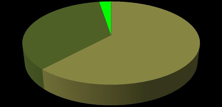 bruto Kg) Outras resinosas 3% (kg) Pinus pinaster 35% Pinus