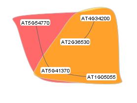 algoritmo LCS com nota de corte com 100% de igualdade. Rede da Localização e via metabólica: Figura 9.