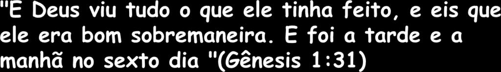 Tudo era bonito e funcional, primorosamente desenhado,