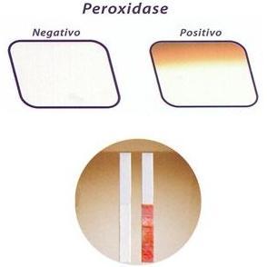 Peroxidase Peroxidase e fosfatase são enzimas naturais do leite. Avalia a adequação do processamento térmico. 10ml de amostra.