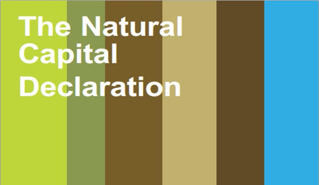 O Capital Natural incorpora todos os ativos naturais da Terra (solo, ar, água, flora e fauna) e todos os serviços dos ecossistemas que tornam possível a existência de