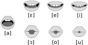 Conceitos fundamentais de Fonética Articulatória Figura 1.8 Diagramas com diferentes configurações dos lábios na produção de vogais. A Figura 1.
