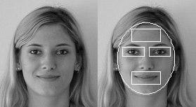 19 Figura 2 Exemplo de reconhecimento de face. Os traços indicam locais onde se esperam encontrar olhos, boca e pele.
