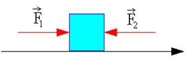D) Somente II. E) Nenhuma das afirmações é verdadeira. QUESTÃO 08 Veja a figura abaixo. Nela, há um bloco de massa m = 2,0 kg.