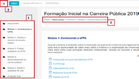 Pronto! Agora você pode navegar livremente pela sala virtual, com vistas a identificar os materiais didáticos, as atividades e os diversos recursos que já estão disponíveis.