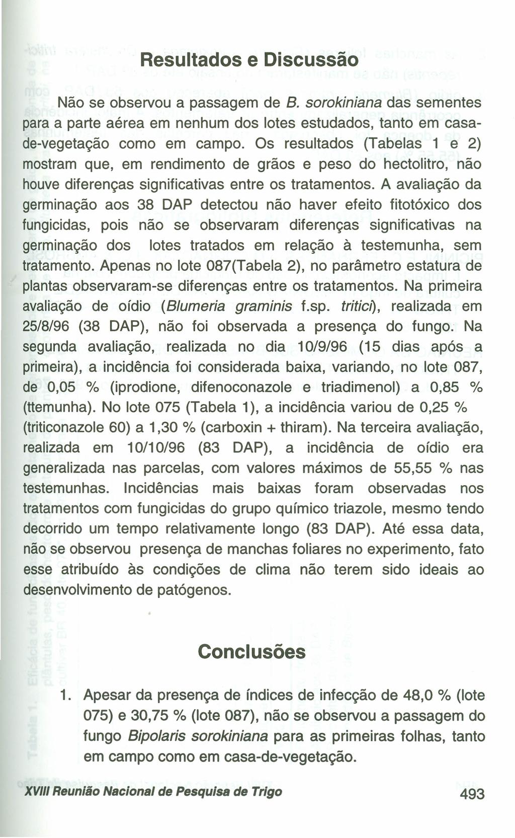 Resultados e Discussão Não se observou a passagem de B. sorokiniana das sementes paraa parte aérea em nenhum dos lotes estudados, tanto em casade-vegetação como em campo.