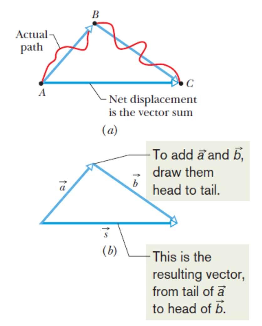 Soma geométrica de vetores Percurso real O deslocamento líquido é o vetor soma Para adicionar os