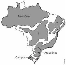 3) Impactos ambientais sobre os domínios morfoclimáticos do Brasil.