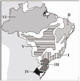 AB'SÁBER, Aziz Nacib. Os Domínios de Natureza no Brasil: potencialidades paisagísticas. São Paulo: Ateliê Editorial, 2003. p.32-33.