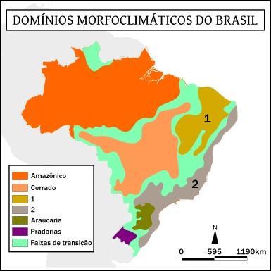 Percurso pelos domínios morfoclimáticos entre os pontos A e B Considerando o trajeto A-B no mapa, um turista que se deslocou de Manaus (AM) até Recife (PE) terá presenciado ao longo de sua viagem