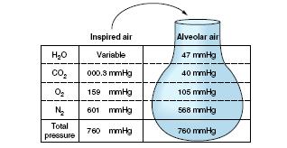 Pressão parcial dos gases