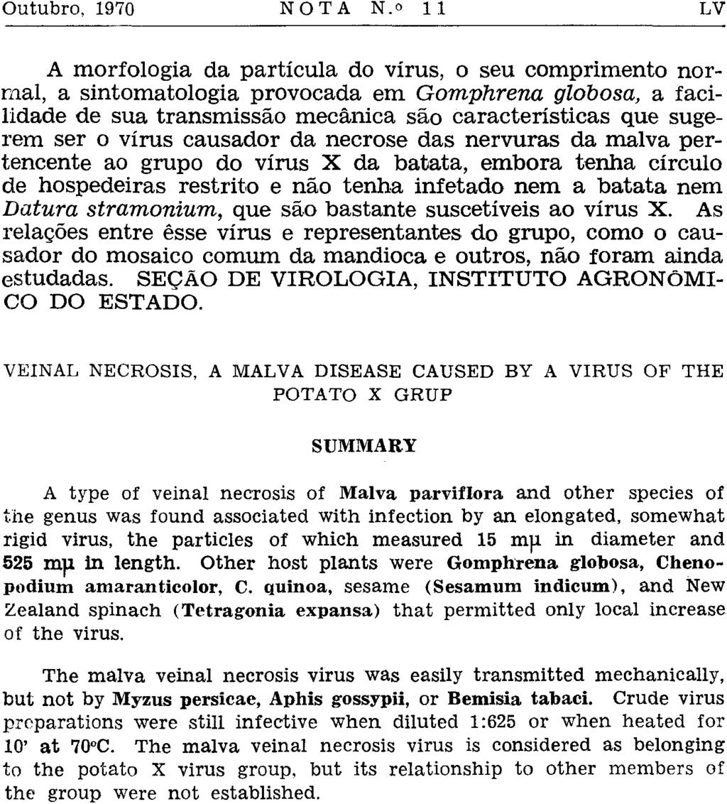 A morfologia da partícula do vírus, o seu comprimento normal, a sintomatologia provocada em Gomphrena globosa, a facilidade de sua transmissão mecânica são características que sugerem ser o vírus