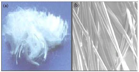 49 Figura 17 (a) fibras de polipropileno cortadas com comprimento de 24 mm e (b) imagem de microscopia eletrônica de varredura com aumento de 230x (fonte: FESTUGATO, 2008, p. 70) 6.2.4 Água A água utilizada para a moldagem dos corpos de prova é proveniente da rede pública de abastecimento.