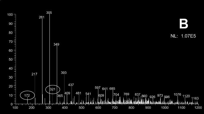 No espectro da região da assinatura apagada (Figura 23A) são observados os íons característicos da caneta branco apagador (de m/z 172 e 343) em detrimento dos sinais correspondentes à assinatura
