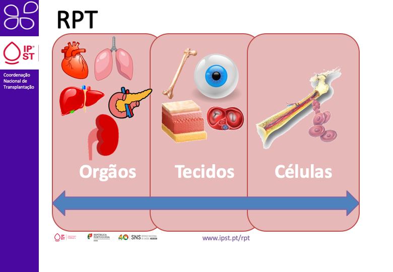 O Registo Português de Transplantação, RPT, está assente num conceito de fluxograma de