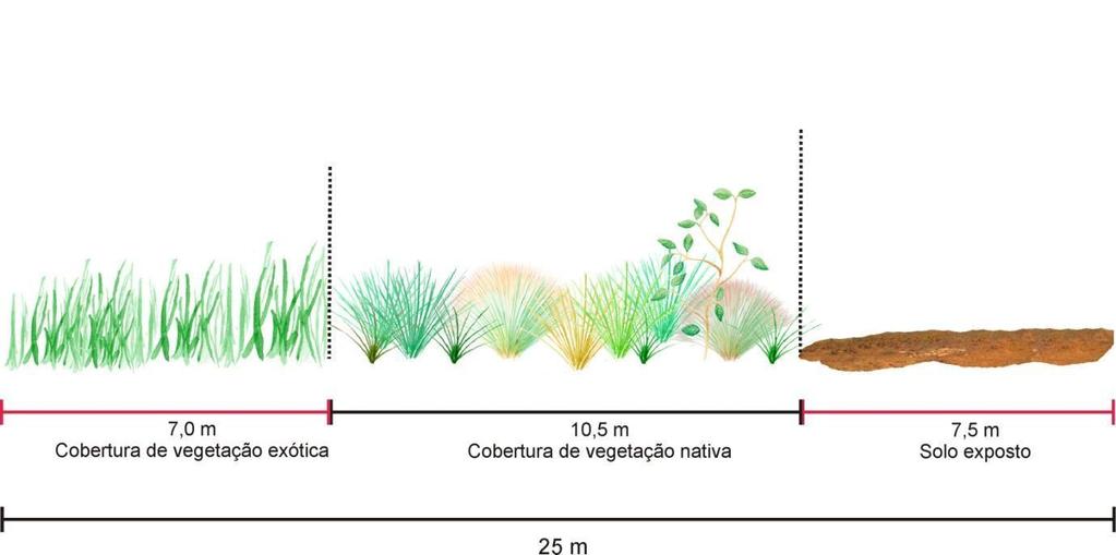 Neste exemplo, a cobertura do solo por vegetação nativa na parcela é de 25m, ou seja, 100%. Figura 7.