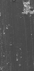 3 2 1 Zn(Kα) S(Kα) S(Kβ) a) b) Figura 5 Amostra correspondente à blenda de PEBD virgem com 1% de borracha de pneu sem tratamento sendo: a) microscopia eletrônica de varredura as flechas indicam a