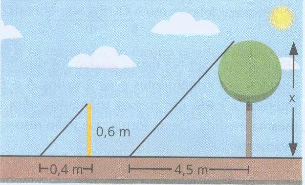 Revisa 2- Caesp Exatas- Geometria- 2 Bimestre Nome: Turma: 9 Professora: Helena Data: / / 1) A sombra de uma árvore mede 4,5m.