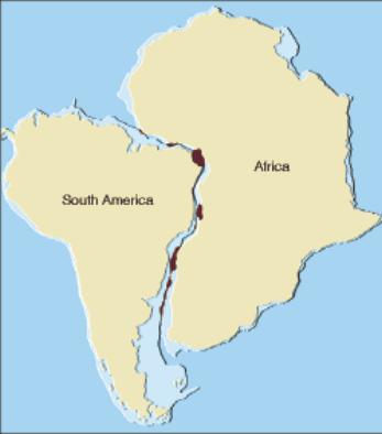 A deriva continental A teoria de Wegener se apoiava em diversas