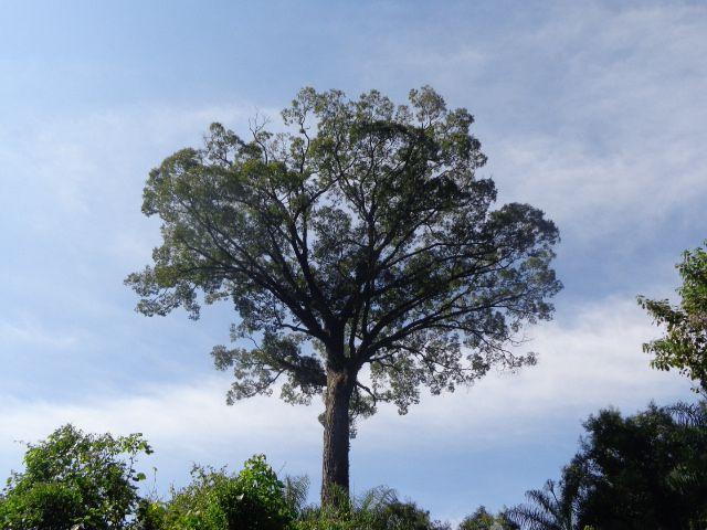 Espírito Santo do