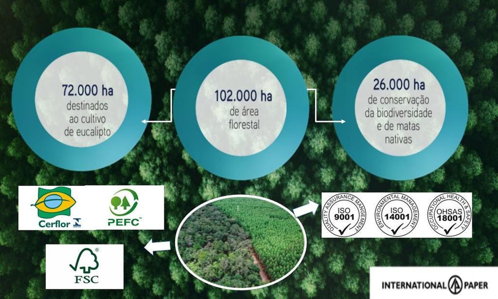 Base Florestal da IP Brasil