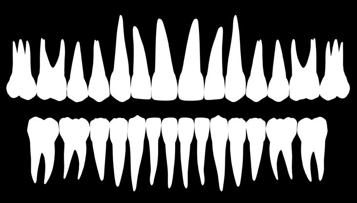 02 um tratamento ortodôntico, onde um dos objetivos é a estética dental e facial, esse fato não acontece pois sempre nos focamos apenas nos arcos dentários e no posicionamento dos dentes, não