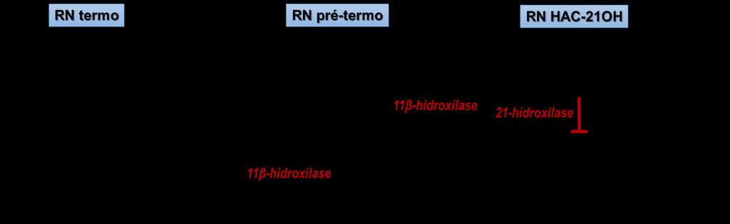 Introdução 16 Figura 2 Metabolização da 17OHP em RNs de termo, pré-termo e com HAC-21OH.