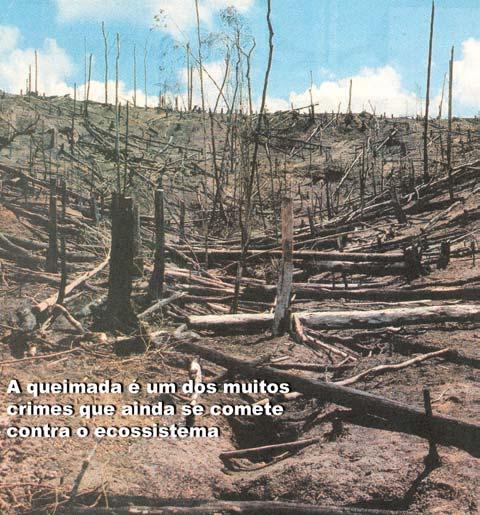 FORMAÇÃO GERAL QUESTÕES DISCURSIVAS de 1 a 3 1 (JB ECOLÓGICO. JB, Ano 4, n. 41, junho 005, p.1.) Agora é vero.